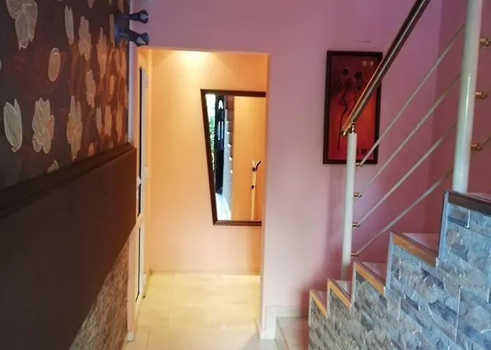 게스트하우스 Ivy 2*