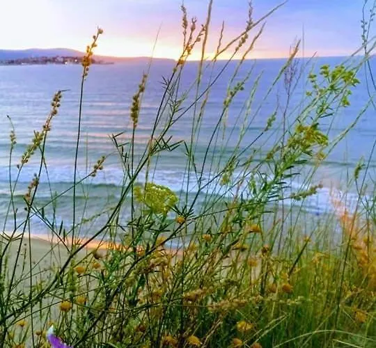 게스트하우스 Ivy 라브다