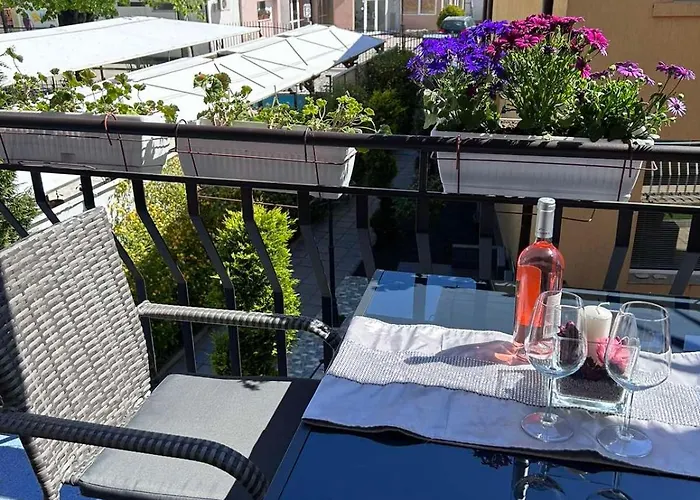 Ivy 게스트하우스