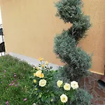под наем иви - Πανσιόν 2*