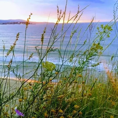 Vendégház Ivy Ravda