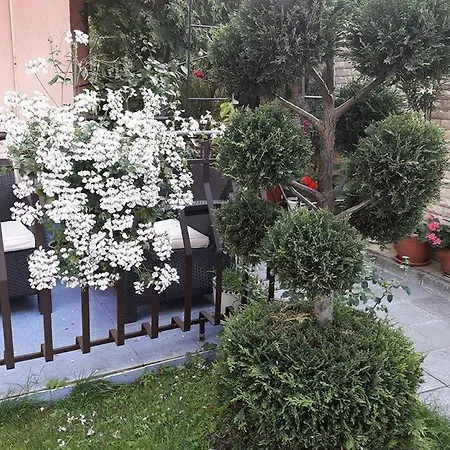 Maison d'hôtes Ivy