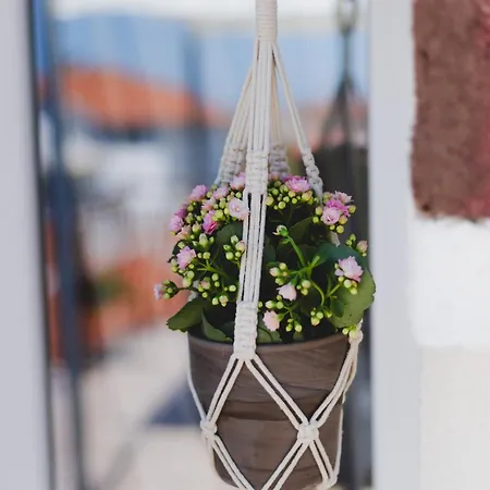 Guest house Ivy 2*